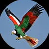 جيش ومشتركة 🦅🇸🇩