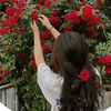 user801963333