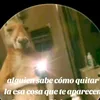 figoritalo2