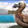 burung.dodo7