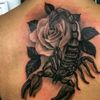 spritelife888