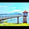 phammuoi1980