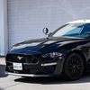 im_a_ford
