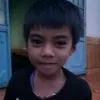 blis830