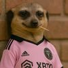 santos.041123