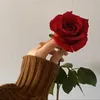 user4603147251594