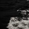 _bienvaem__