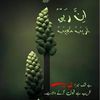 lal.badshah42