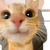 lg.o3