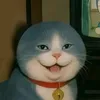 imgoat70
