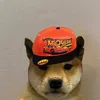 sweqlaaa