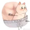 c_lyy1