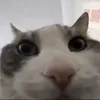h_r_960