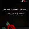 user8679230455091