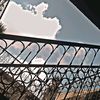 azaadparinda08