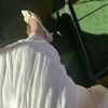 fayrouz0155