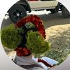 ؟:': ألــقـرمم♪♭♬