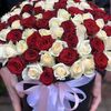 user9818321201309