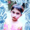 user221220241
