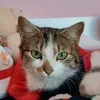 mariett241