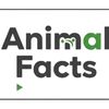 animalfacts_65