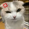 _quynh117