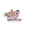 Lapo Orchid