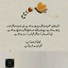 noreen5989
