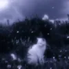 stxrsdaisy