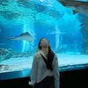 a_nswer.a_nswer