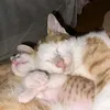 vminhtn13