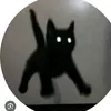 kitty_293837