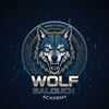 Wolf Balouch