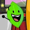leafymyamazingcutewife