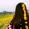 saifa_414