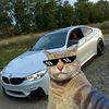 mohmaadfared2