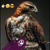 insaaf.insaaf63