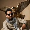 falconboy