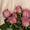 kj_zf3