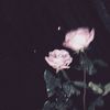 yasmina_0890