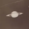 mollyismolly29