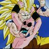 potara_v6