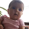 tiktok_wanar