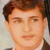 muhammadhashim7685