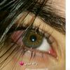 yara.ahmed2955