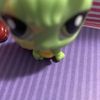 mini.littlest.pet