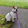 roxy1130ox0