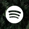 viralsongs37