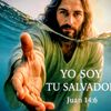 la.ley654
