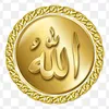 najma.amani
